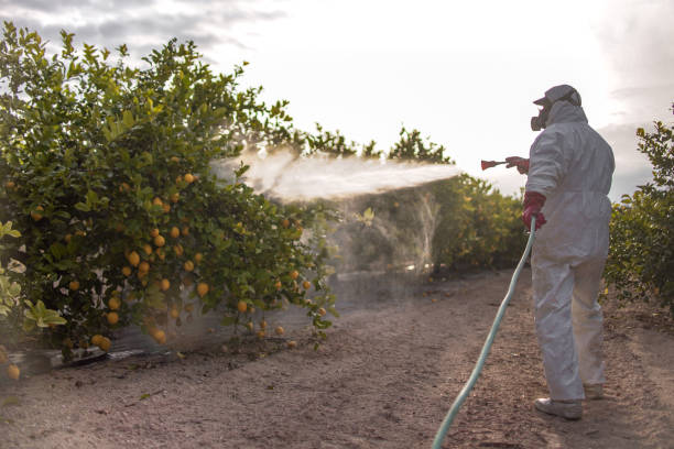 Best Pest Inspection Near Me  in La Porte, IN