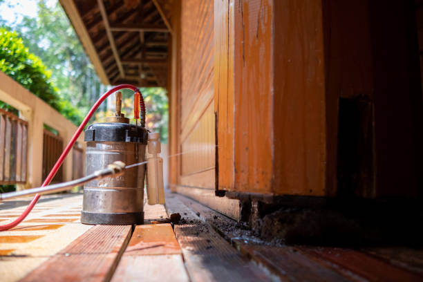 Best Ant Control Services  in La Porte, IN